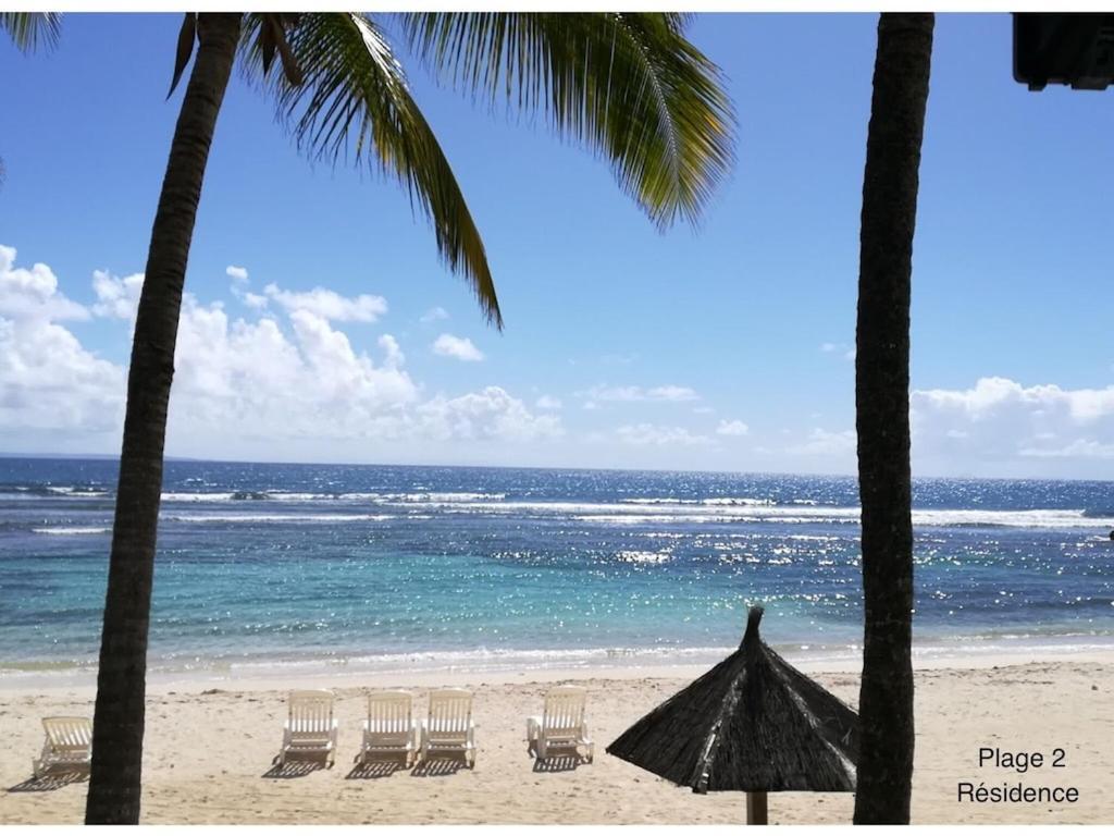 Studio Village Vacances,Vue Mer, Plage A 30M ,Wifi A Sainte Anne 외부 사진