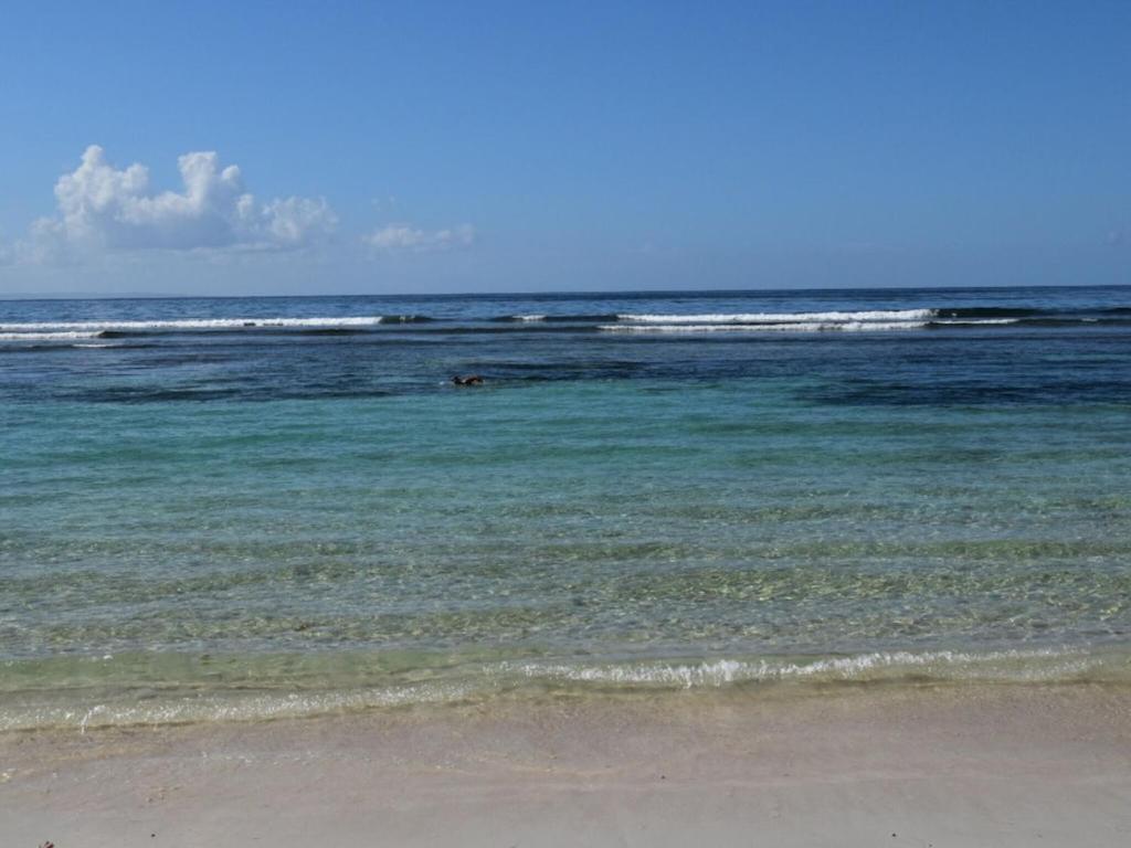 Studio Village Vacances,Vue Mer, Plage A 30M ,Wifi A Sainte Anne 외부 사진