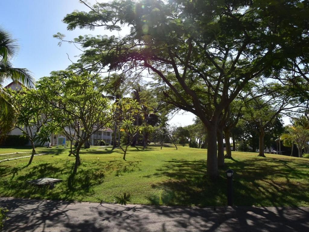 Studio Village Vacances,Vue Mer, Plage A 30M ,Wifi A Sainte Anne 외부 사진