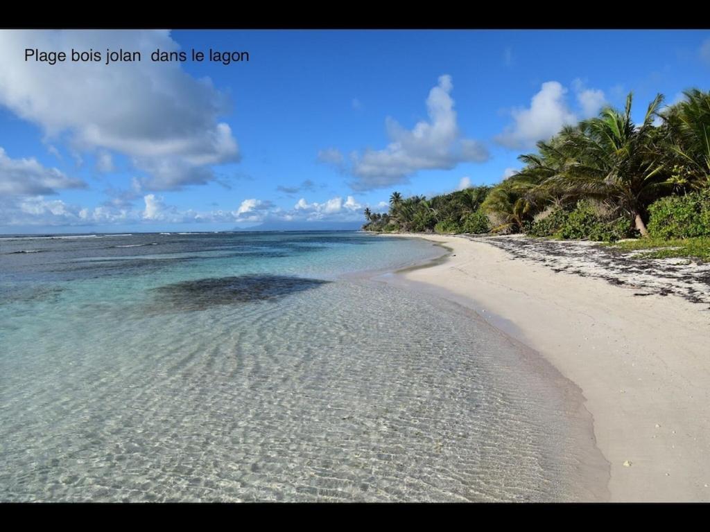 Studio Village Vacances,Vue Mer, Plage A 30M ,Wifi A Sainte Anne 외부 사진