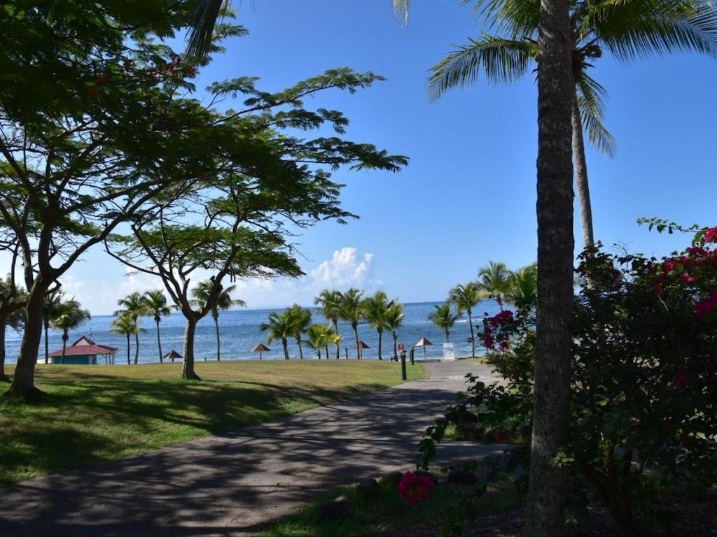 Studio Village Vacances,Vue Mer, Plage A 30M ,Wifi A Sainte Anne 외부 사진